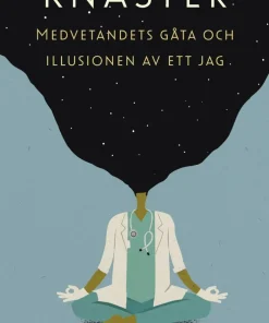 Knaster : medvetandets gåta och illusionen av ett jag