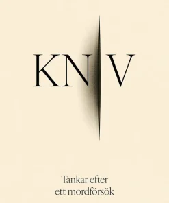 Kniv : tankar efter ett mordförsök