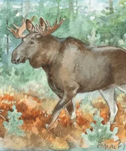 Kort Älg