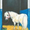 Kort Sigge