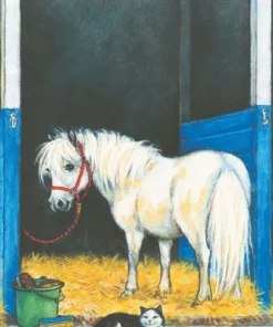 Kort Sigge
