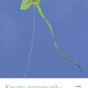 Kreativ grammatikundervisning, 3 uppl : För lärare F-6
