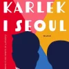 Kärlek i Seoul