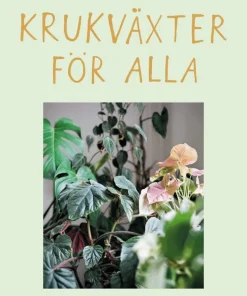 Krukväxter för alla