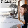 Kvinnorna i Gästrikland : en reportagebok om vår tids historia