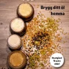 Ölbryggarboken : brygg ditt öl hemma