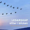 Ledarskap sitter i blicken : att vara närvarande och äkta