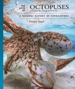 Lives of Octopuses and Their Relatives