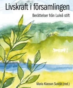 Livskraft i församlingen : berättelser från Luleå stift