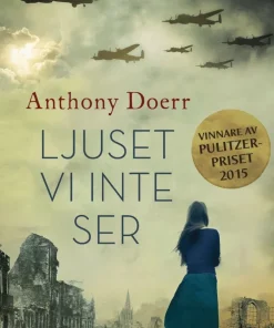Ljuset vi inte ser