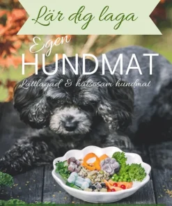 Lär dig laga egen hundmat