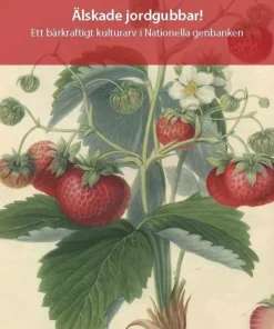 Älskade jordgubbar! - Ett bärkraftigt kulturarv i Nationella genbanken