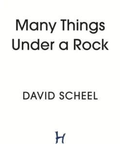 Many Things Under a Rock