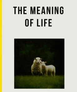 Meaning of Life