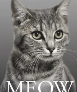Meow