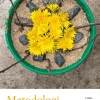Metodologi - för studier i, om och med förskolan, 2 upp