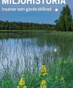 Miljöhistoria : insatser som gjorde skillnad