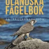 Min öländska fågelbok på fåglarnas sida