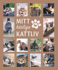 Mitt härliga kattliv