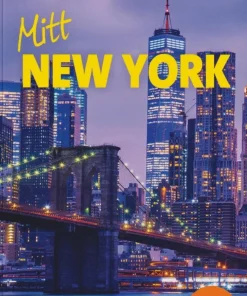 Mitt New York