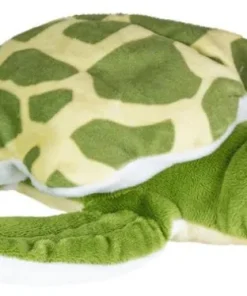 Mjukdjur sköldpadda Konna