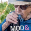 Mod & vin : Cantina Santadi