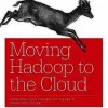 Moving Hadoop in the Cloud