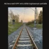 Mörkret vi inte ser: - Att leva med NPF i ett utbildningsbaserat samhälle