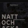 Natt och aska : förintelsens litteraturer