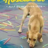 Nosework : allt du behöver veta