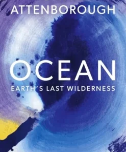 Ocean