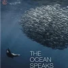 Ocean Speaks