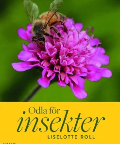 Odla för insekter