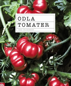 Odla tomater