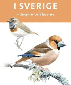 Om fåglar i Sverige : deras liv och leverne