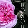 Om rosor