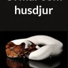 Ormar som husdjur
