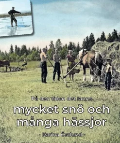 På den tiden det fanns mycket snö och många hässjor