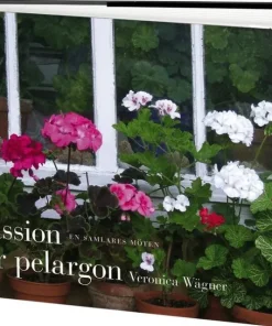 Passion för pelargon : en samlares möten