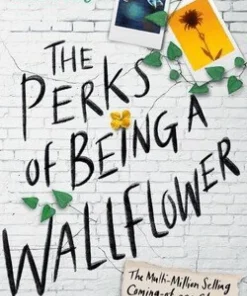 Perks of Being a Wallflower YA Edition