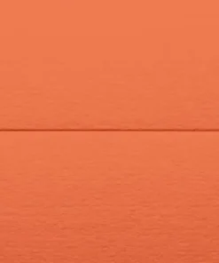 Placeringskort dubbla 10-pack orange