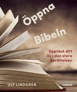 Öppna Bibeln : upptäck ditt liv i den stora berättelsen