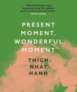 Present Moment, Wonderful Moment