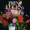 Prins Eugens värld av blommor och Waldemarsuddekrukan