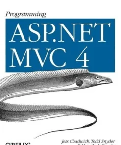 Programming ASP.NET MVC 4