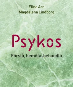 Psykos : förstå, bemöta, behandla