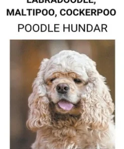 Pudel, Goldendoodle, Labradoodle, Maltipoo, Cockerpoo (Poodle Hundar)