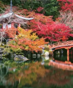 Pussel 1000 bitar - Daigo-ji, Kyoto Japan