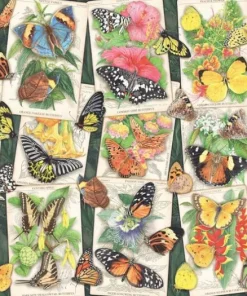 Pussel 1000 bitar - Tropical Butterfly