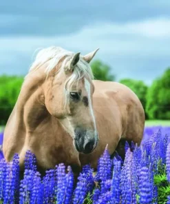 Pussel 1000 bitar Hästen med blommor